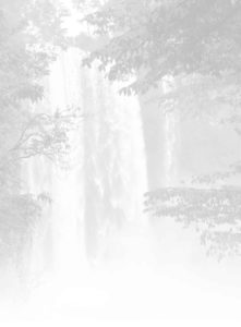 Practices Background